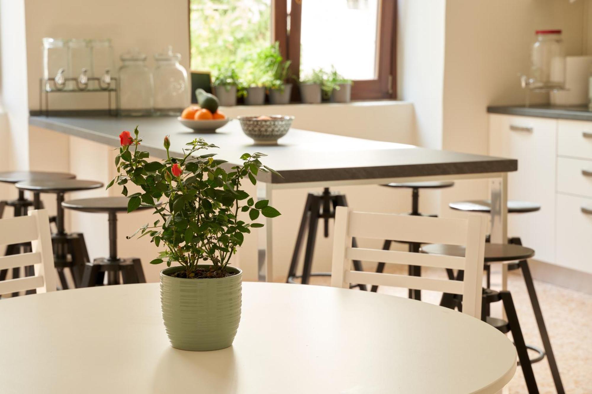 Hub Portanova Hostel Трани Екстериор снимка